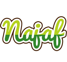 Najaf golfing logo