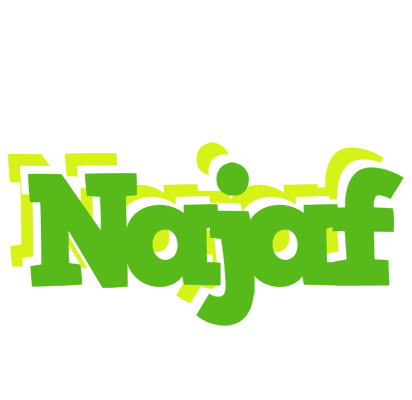 Najaf picnic logo