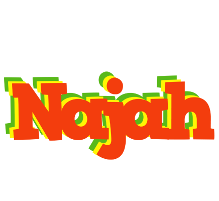 Najah bbq logo