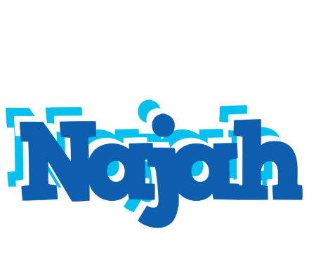 Najah business logo