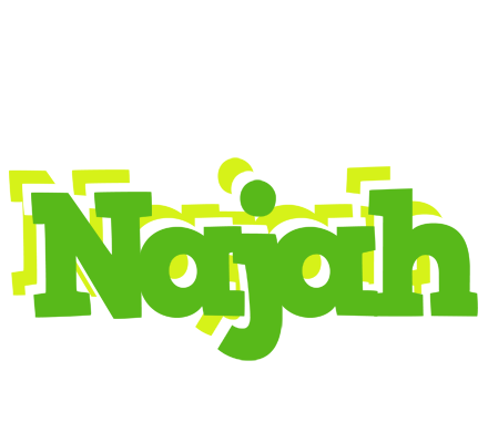 Najah picnic logo