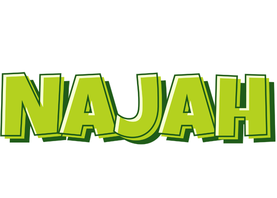 Najah summer logo