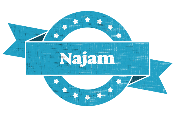 Najam balance logo