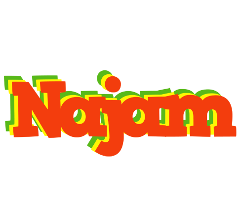 Najam bbq logo