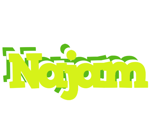 Najam citrus logo