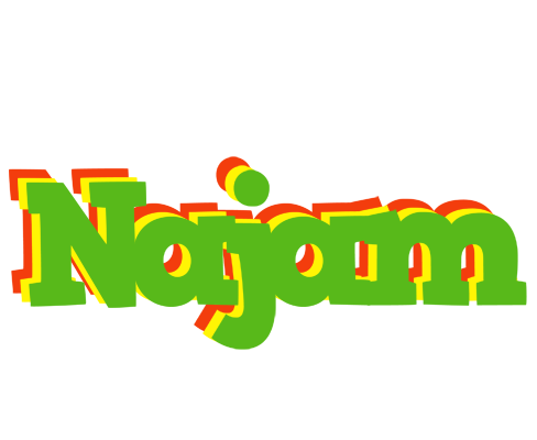 Najam crocodile logo
