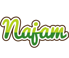 Najam golfing logo