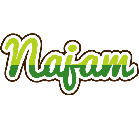 Najam golfing logo