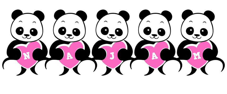 Najam love-panda logo