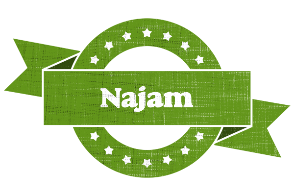 Najam natural logo