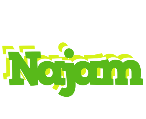 Najam picnic logo