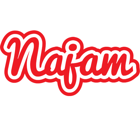 Najam sunshine logo