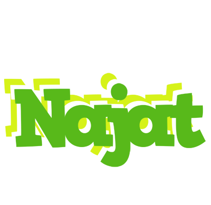 Najat picnic logo