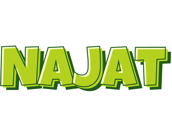 Najat summer logo
