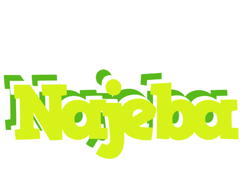 Najeba citrus logo