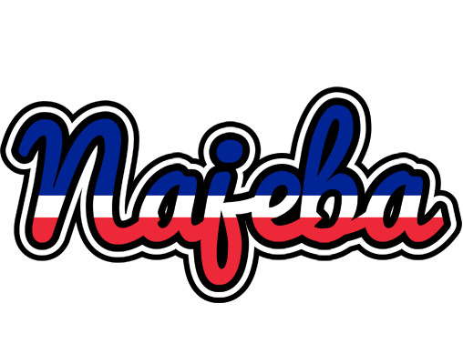 Najeba france logo
