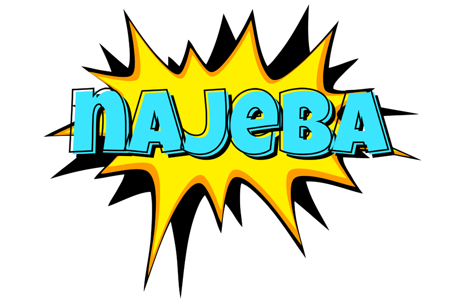 Najeba indycar logo