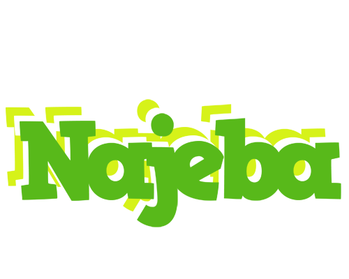 Najeba picnic logo