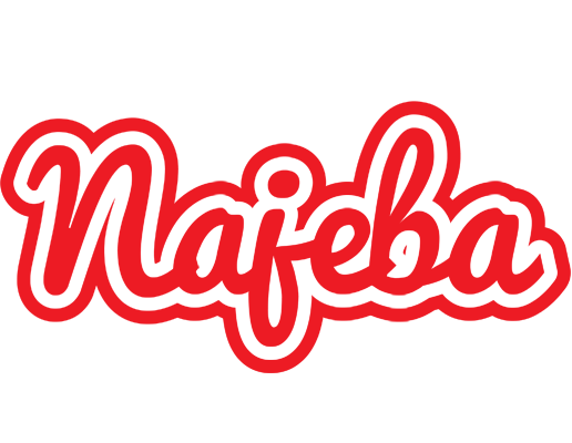 Najeba sunshine logo