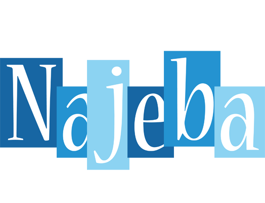 Najeba winter logo