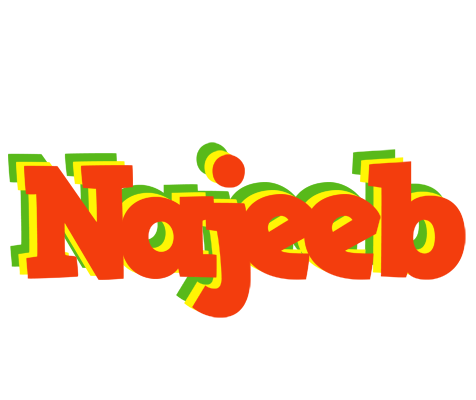 Najeeb bbq logo