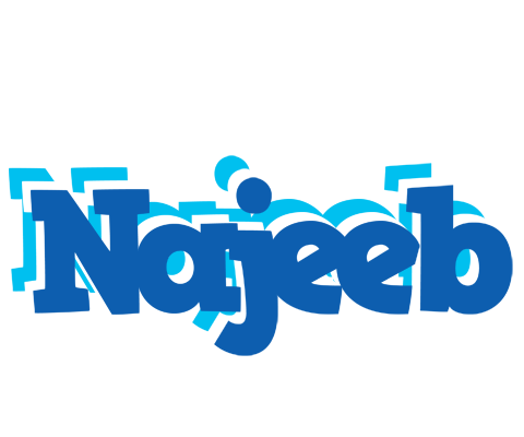 Najeeb business logo