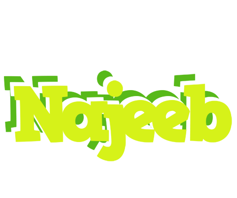 Najeeb citrus logo