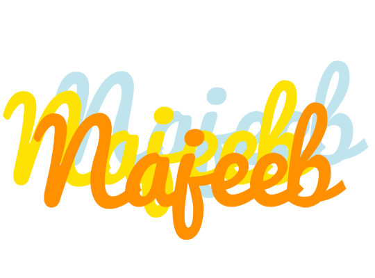 Najeeb energy logo