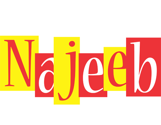 Najeeb errors logo
