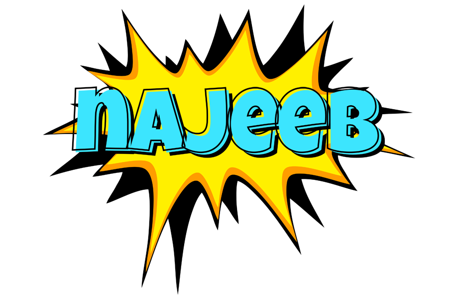 Najeeb indycar logo