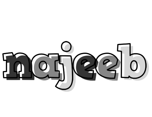 Najeeb night logo