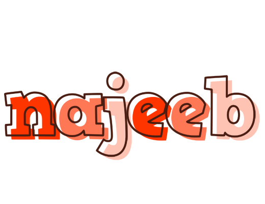 Najeeb paint logo