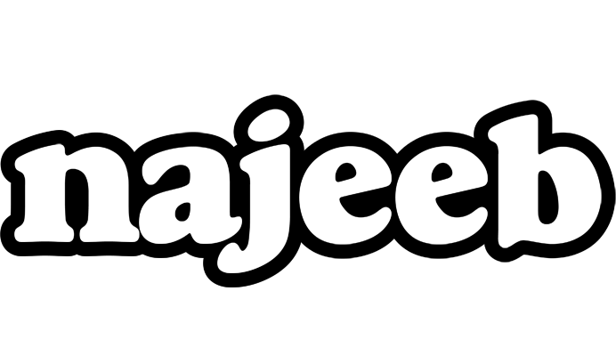 Najeeb panda logo