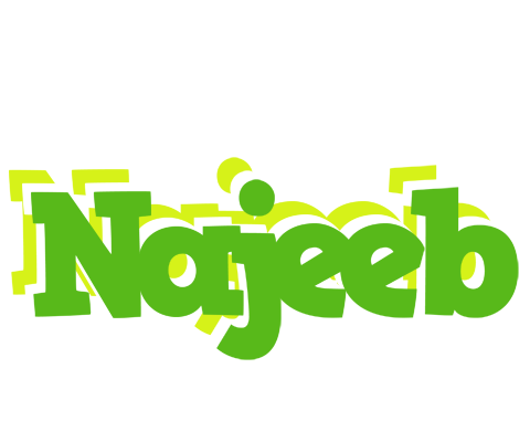 Najeeb picnic logo
