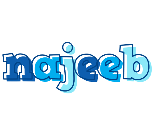 Najeeb sailor logo