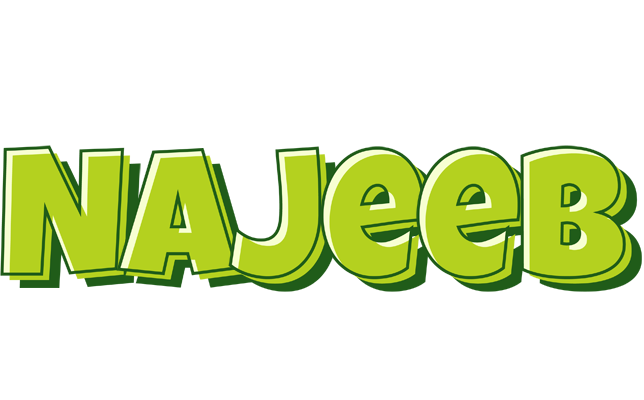 Najeeb summer logo