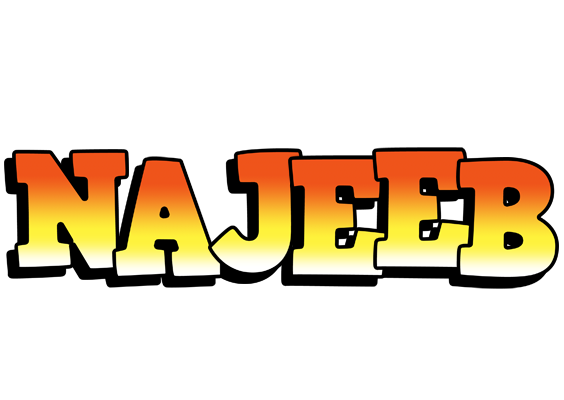 Najeeb sunset logo