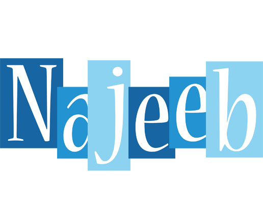 Najeeb winter logo