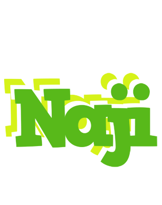Naji picnic logo