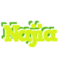 Najia citrus logo