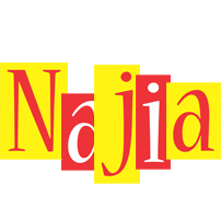 Najia errors logo