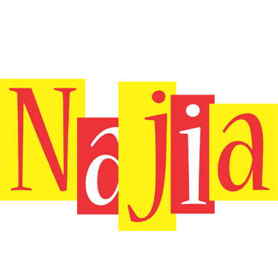 Najia errors logo