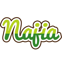 Najia golfing logo