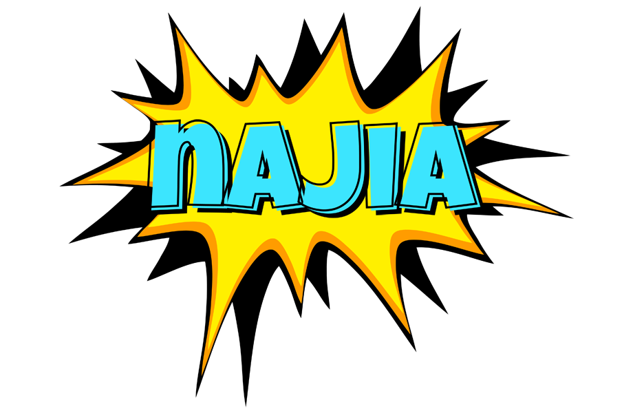 Najia indycar logo