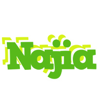 Najia picnic logo