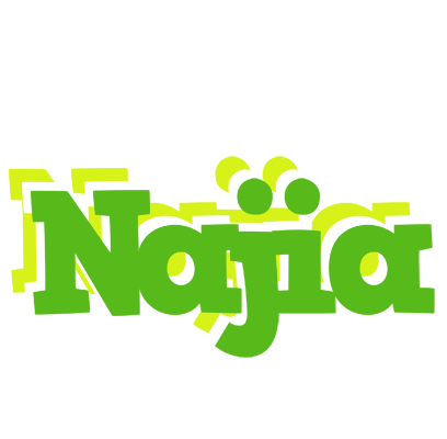 Najia picnic logo