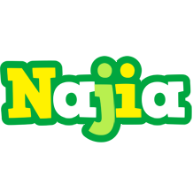 Najia soccer logo