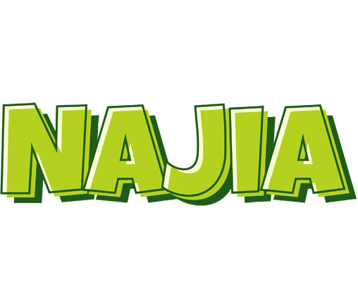 Najia summer logo