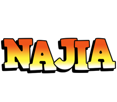 Najia sunset logo