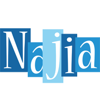 Najia winter logo